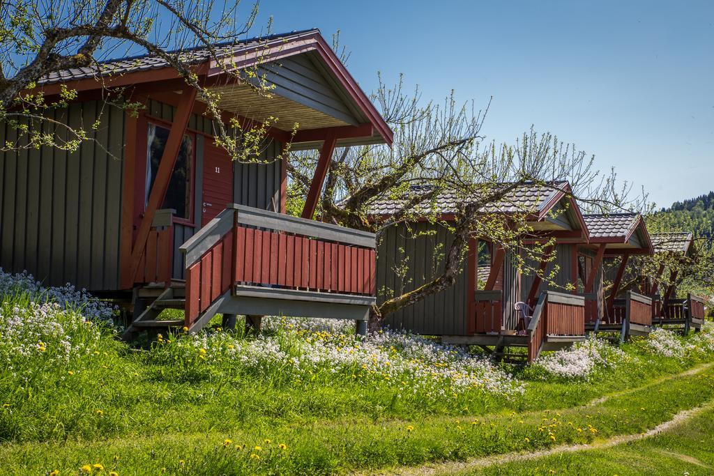 Pluscamp Sandvik