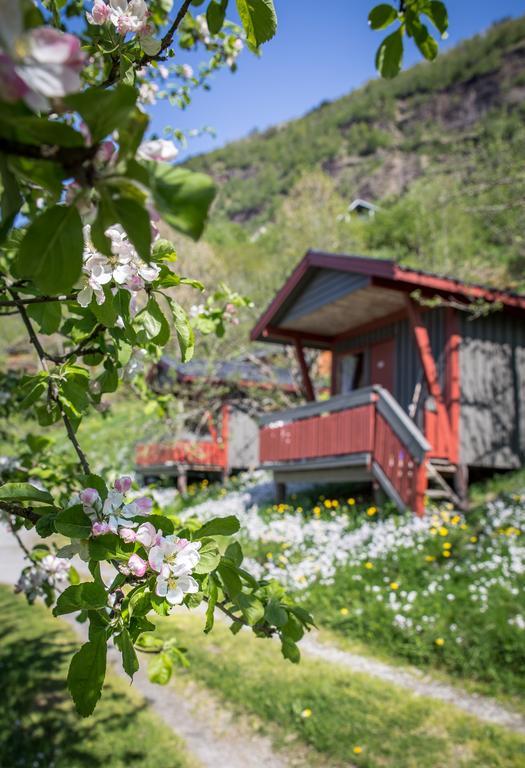 Pluscamp Sandvik Гаупне